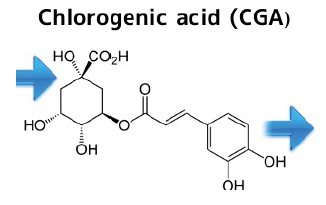 Structure Acide Chlorogénique